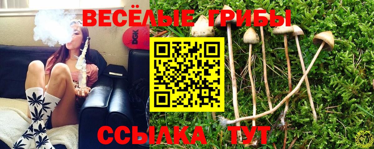 Псилоцибиновые грибы Psilocybe Бутурлиновка